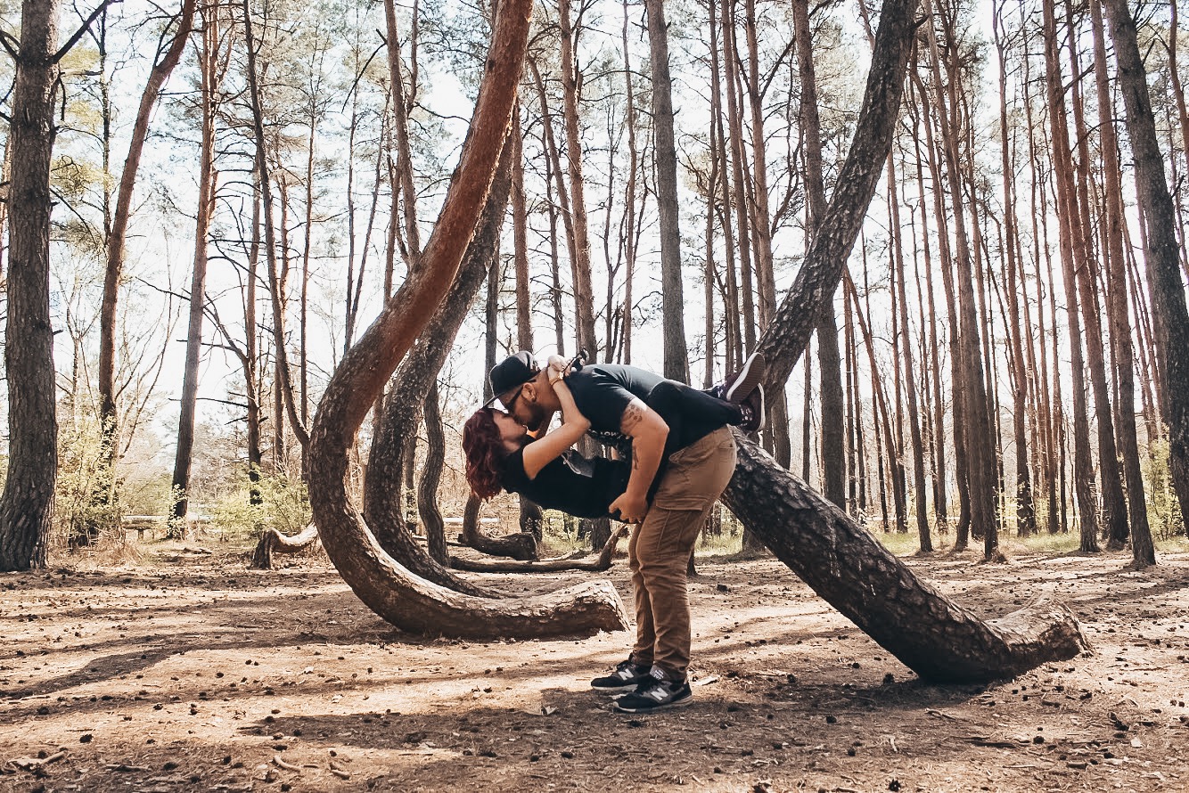 j shaped trees in poland