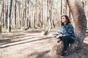 <img src="Twovelers_krivy_les.jpg" alt="poland crooked forest">