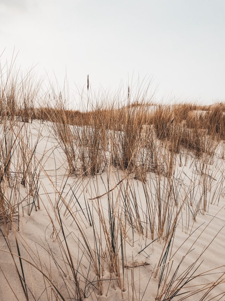 <img src="slowinsky narodny park twovelers guide.jpg" alt="moving dunes in Poland twovelers"> 