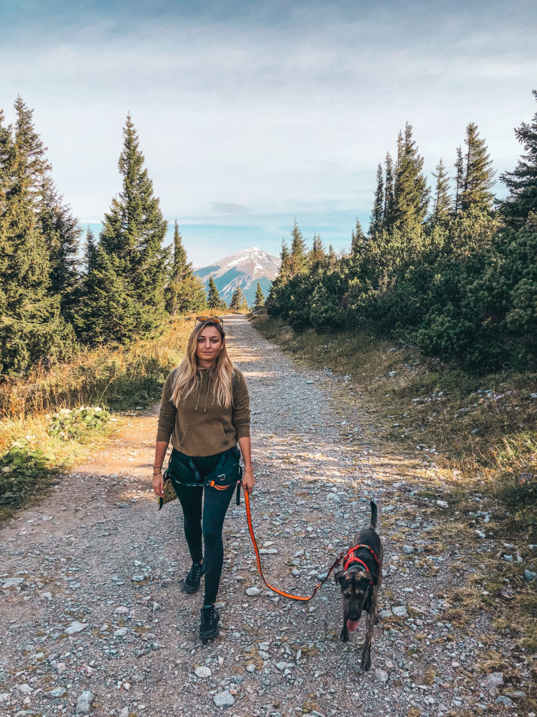 safe hiking with dog Rax austria twovelers blog